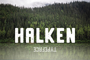 Typeface bundle | 56 Font Styles, a Sans Serif Font by MikeHill (Thumbnail 8 of 20)
