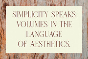Khardov Mystique Modern Serif, a Serif Font by Letterena Studios (Thumbnail 9 of 15)