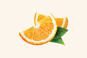 FRUITS (in vector), an Object Graphic by Orange Soda (Thumbnail 5 of 9)