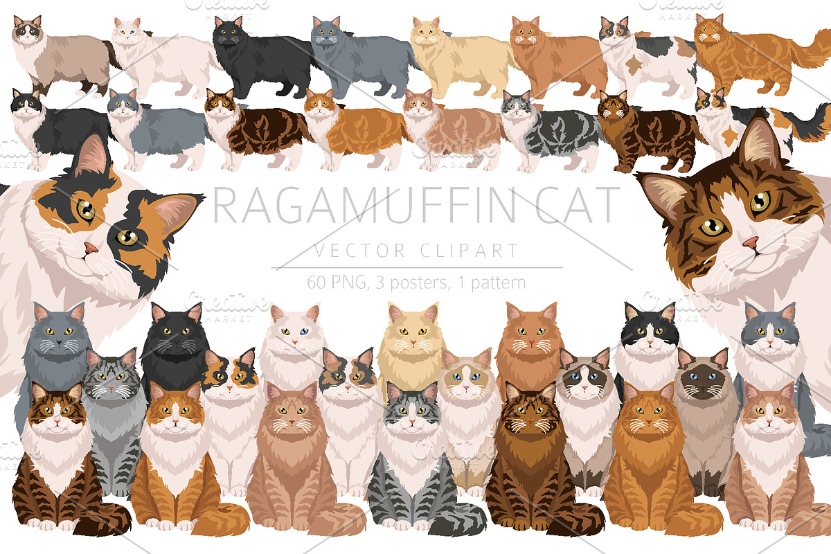 Ragamuffin cat clip art, an Animal Illustration by pet design shop (Photo 1 of 5)