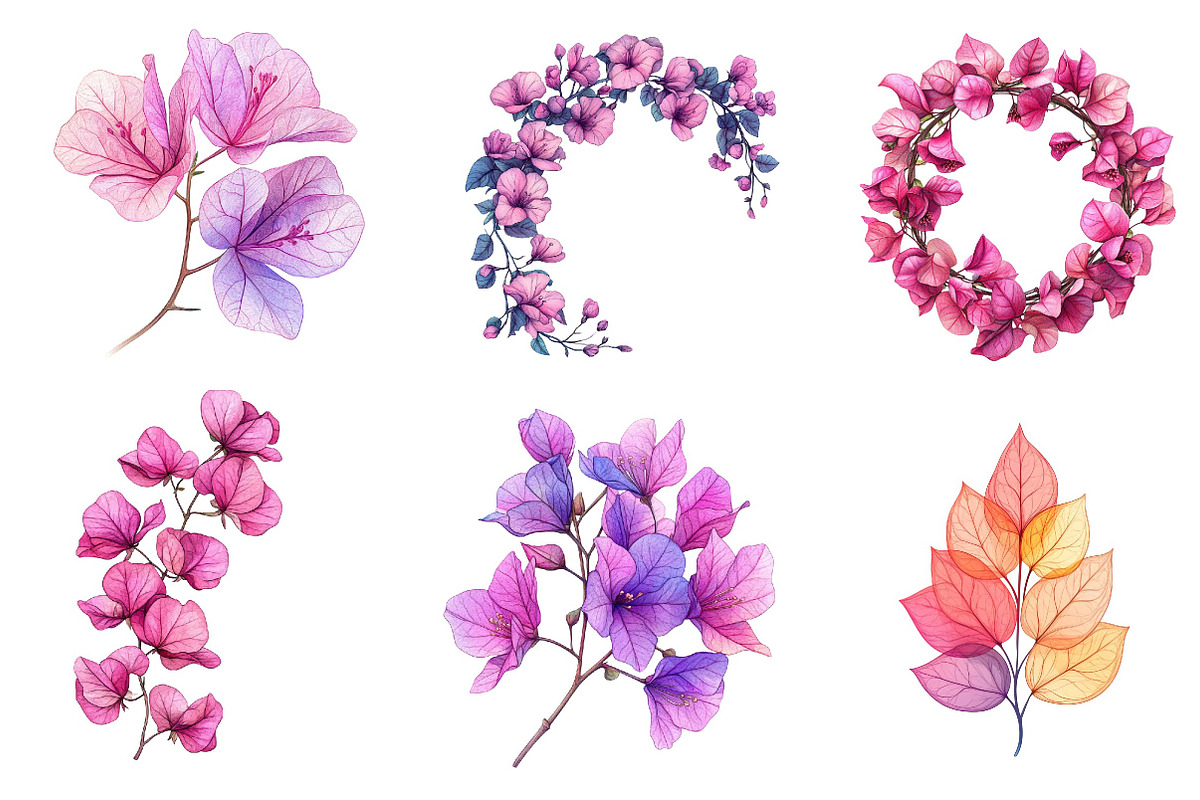 Bougainvillea Flower Clipart Bundle, an Illustration by Dream Creation (Photo 6 of 6)