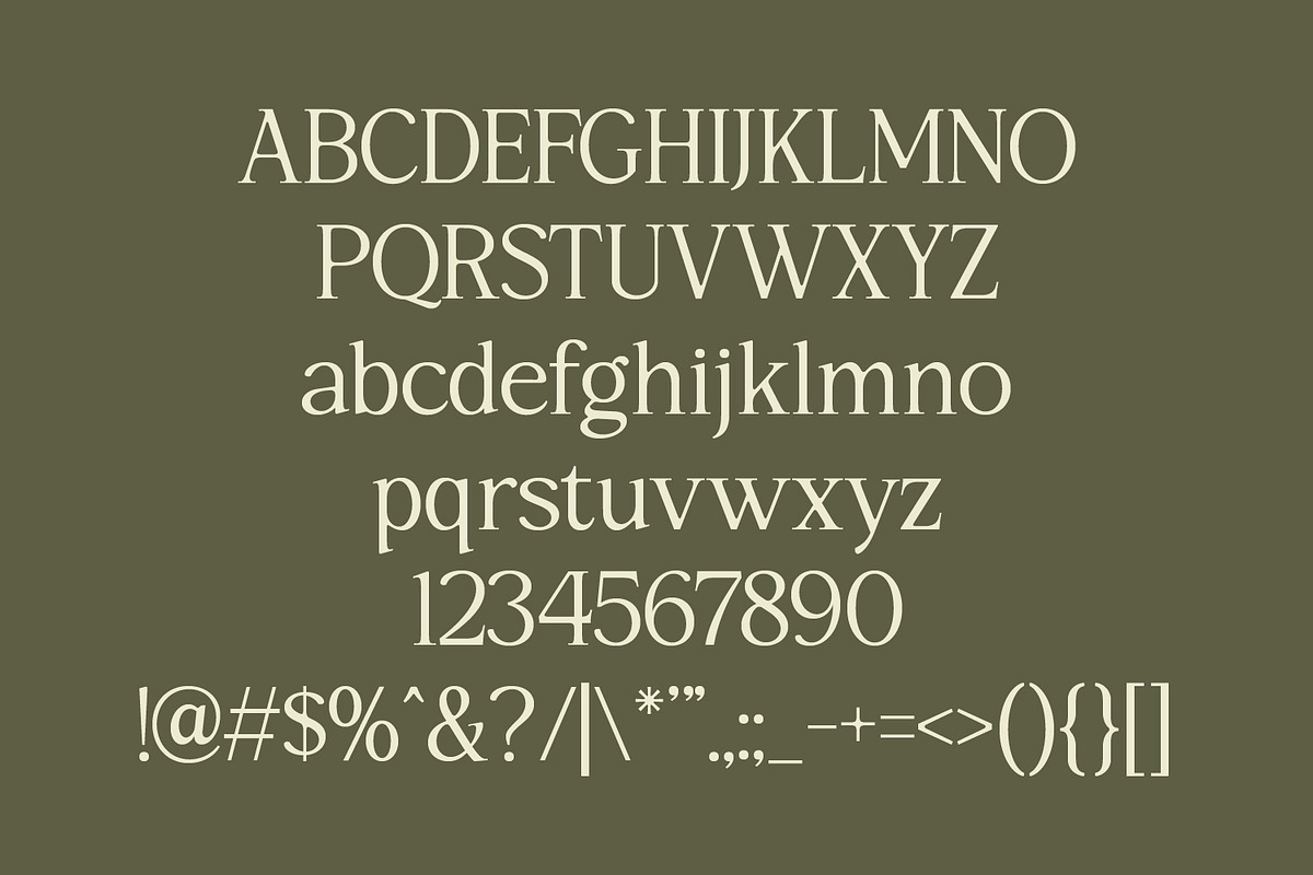 Rothen – Aesthetic Serif Font, a Serif Font by Dikas Studio (Photo 5 of 10)