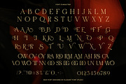 Flower Elegant Serif Font, a Serif Font by Elegant Font (Thumbnail 8 of 8)