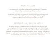 Photographer Print Release Form, a Flyer Template by roselindoco (Thumbnail 3 of 3)