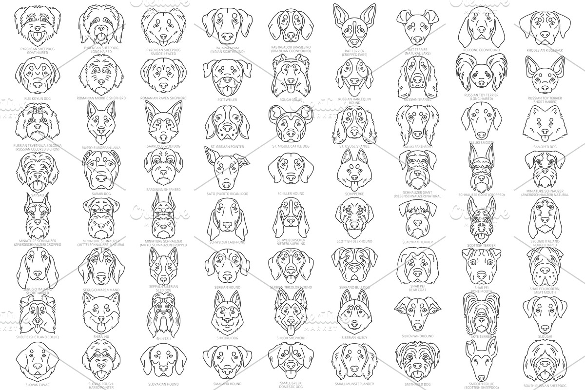 Dog Head Silhouettes Bundle, an Object Graphic by pet design shop (Photo 9 of 12)