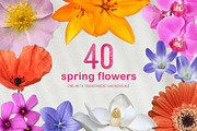 40 Spring Flowers for Collages, an Object Graphic by designerbianca (Thumbnail 1 of 5)