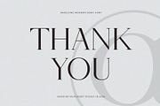 Angelyne - Modern Serif Font, a Serif Font by Muflieart (Thumbnail 8 of 10)