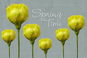 Lisianthus Blooms Realistic Flowers, an Object Graphic by Turning Moss (Thumbnail 7 of 8)