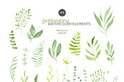 Greenery Watercolor Collection, a Decorative Illustration by Liliia Polos Illustration (Thumbnail 8 of 10)