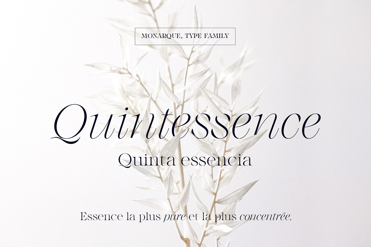 Monarque - Classy Serif Type Family, a Serif Font by The Paper Town (Photo 8 of 15)
