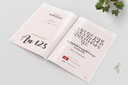 Design & Brand Guidelines, a Brochure Template by Imagination Area (Thumbnail 9 of 21)