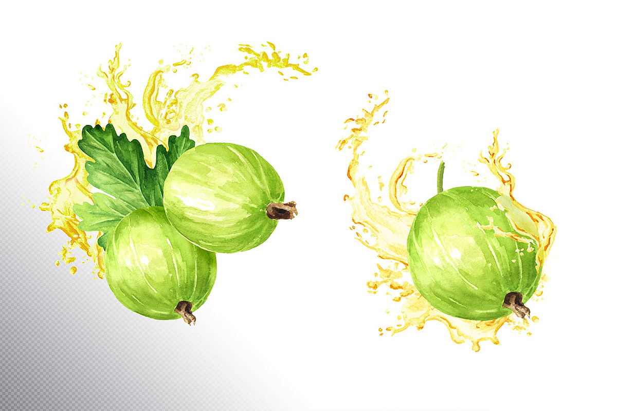 Amber Gooseberry. Watercolor set, a Food Illustration by Daria Ustiugova (Photo 15 of 23)