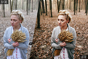 Creative Lightroom Presets, an Action Add-On by Willa (Thumbnail 3 of 11)