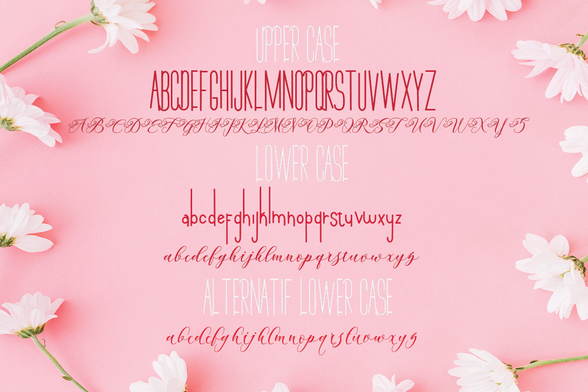 Andeglei, a Script Font by Letter-P (Photo 15 of 17)