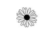 Daisy Flower Line Art Vector Bundle0, an Illustration by jahid234 (Thumbnail 27 of 51)