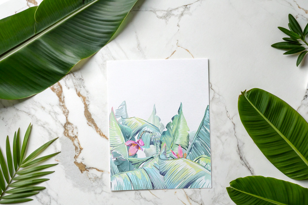 Banana blossom plants Watercolor set, an Illustration by Shabbypie (Photo 7 of 13)