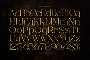 Neo Joel | Display Serif, a Serif Font by gracetype_studio (Thumbnail 10 of 12)