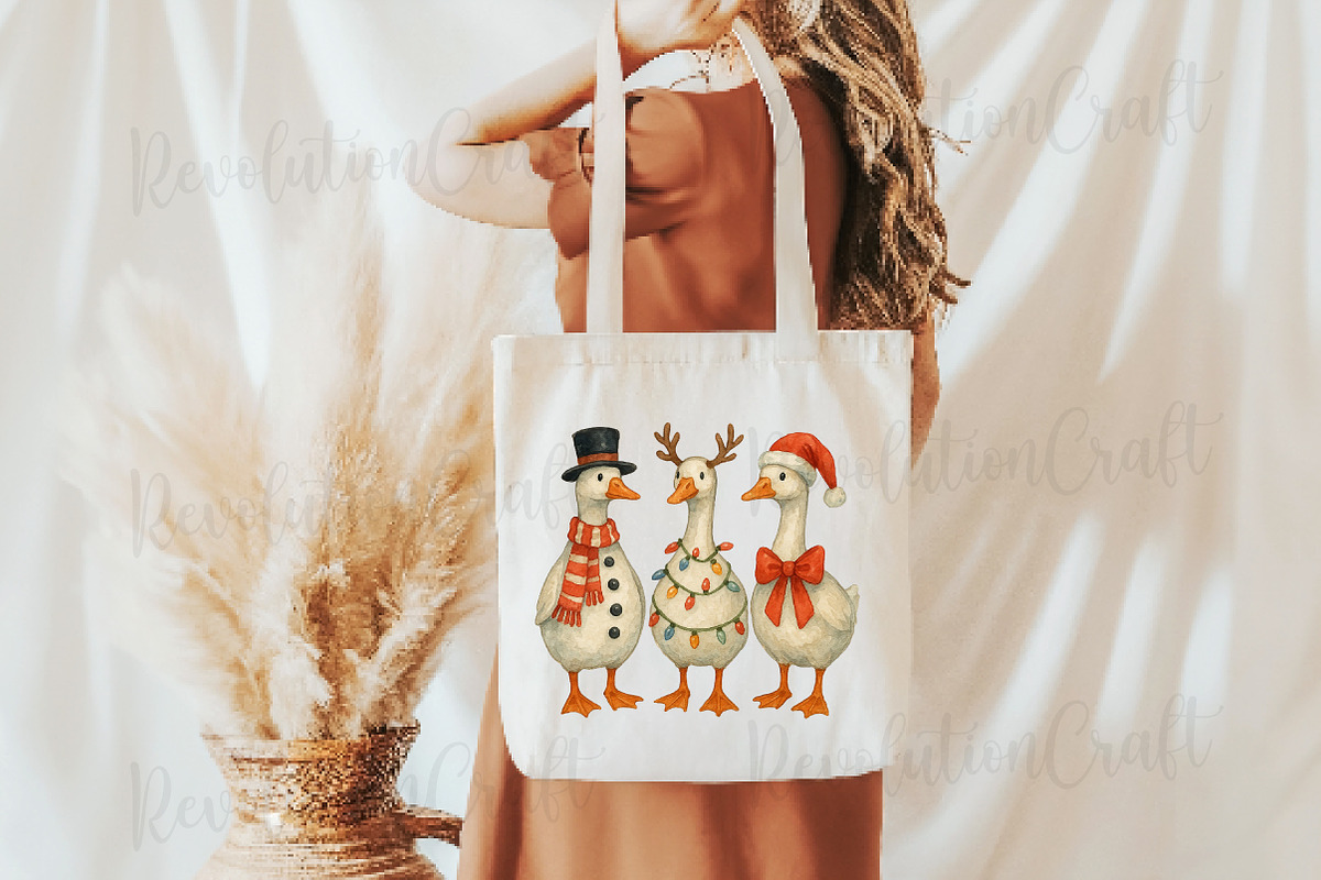 Funny Christmas Goose Png, an Illustration by OK Design (Photo 2 of 4)