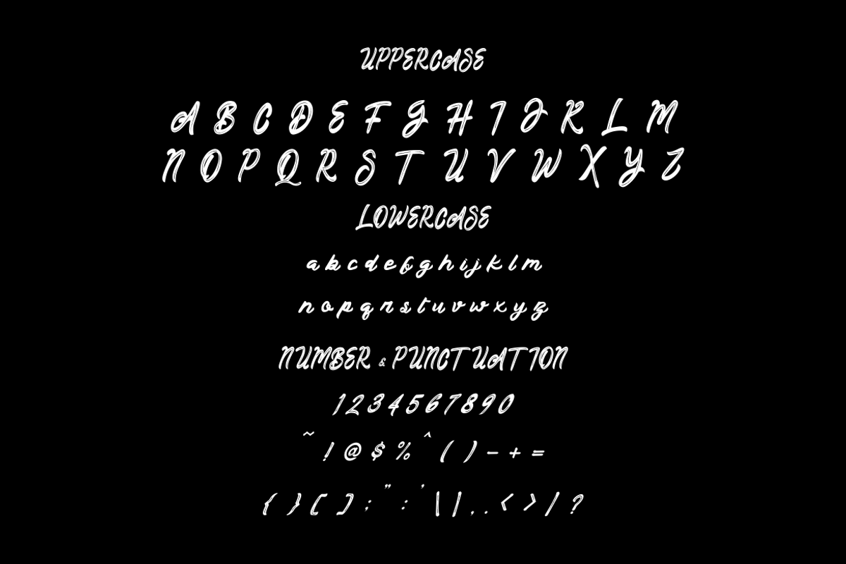 Metrolight Script Display Font, a Script Font by PutraCetol Studio (Photo 5 of 6)