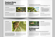 Wildlife Photography Magazine, a Magazine Template by MightyDesign (Thumbnail 4 of 9)