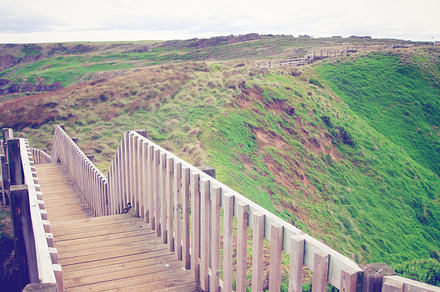 Wooden Path To Walk Around An Island Containing Far Away And Alone preview 6