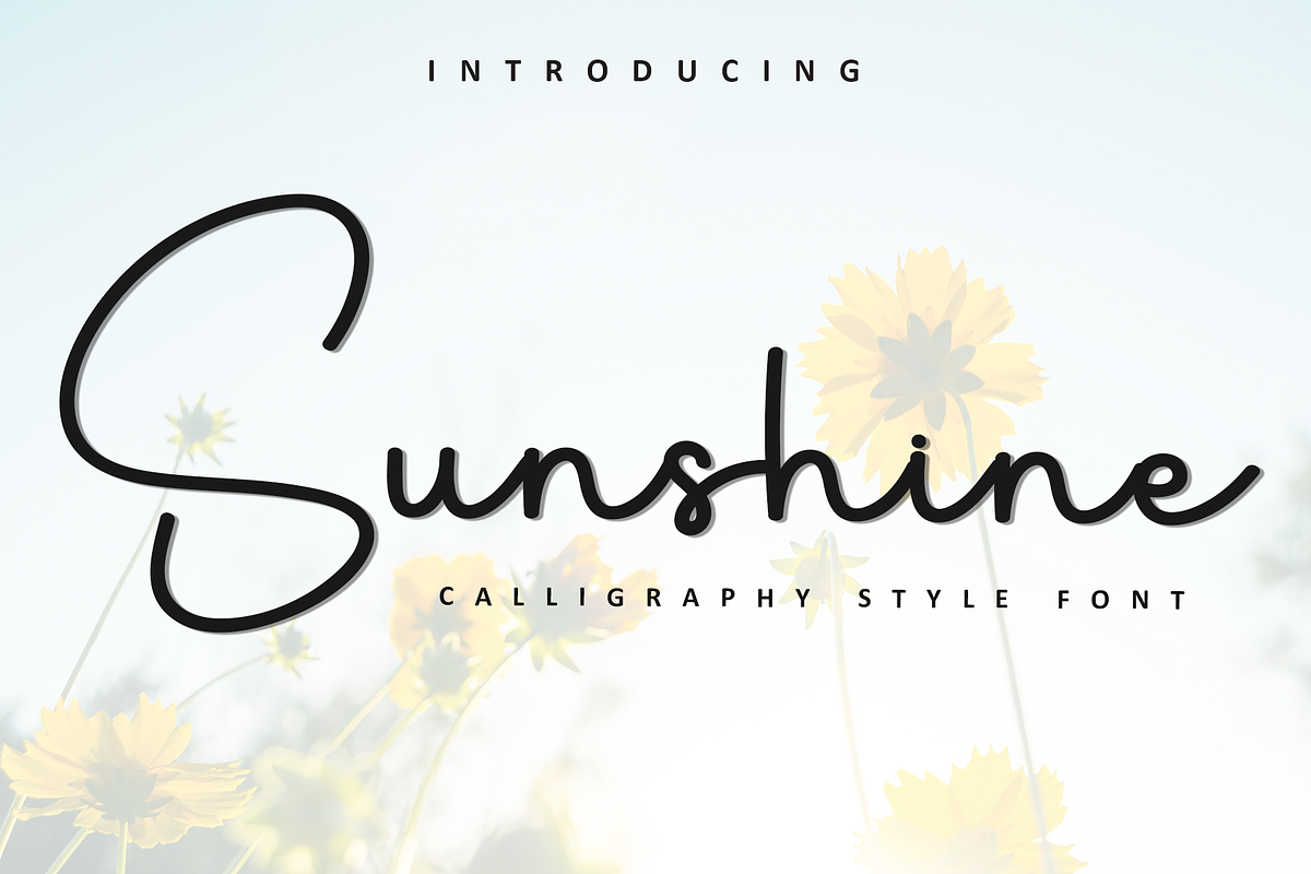 Sunshine, a Handwritten Font by InermediaSTUDIO (Photo 1 of 8)