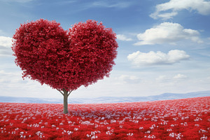 Heart-shaped tree in vibrant field, a Photo by Beautiful things