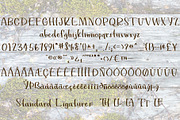 Dylan - A Handwritten Serif Font, a Serif Font by lillie belles designs (Thumbnail 5 of 5)