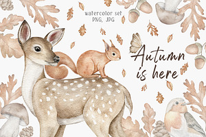 Woodland animal clipart Autumn mood