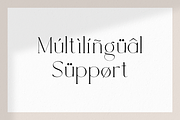 Rotweiler - Fashion Font, a Serif Font by RockboyStd (Thumbnail 10 of 12)