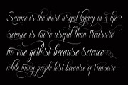 Pemberani, a Script Font by NaldyStudio (Thumbnail 4 of 8)