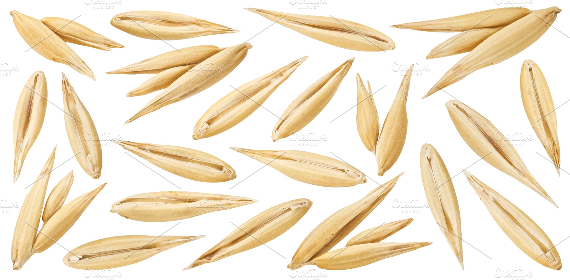 Oat seeds collection, a Food & Drink Photo by Max Lashcheuski