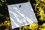 Wax Flowers Mockup Collection, a Packaging Mockup by Glue Lab (Thumbnail 5 of 5)
