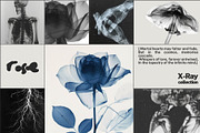 55 Immortal X-ray Print Posters, a Texture Graphic by NassyArt (Thumbnail 10 of 14)