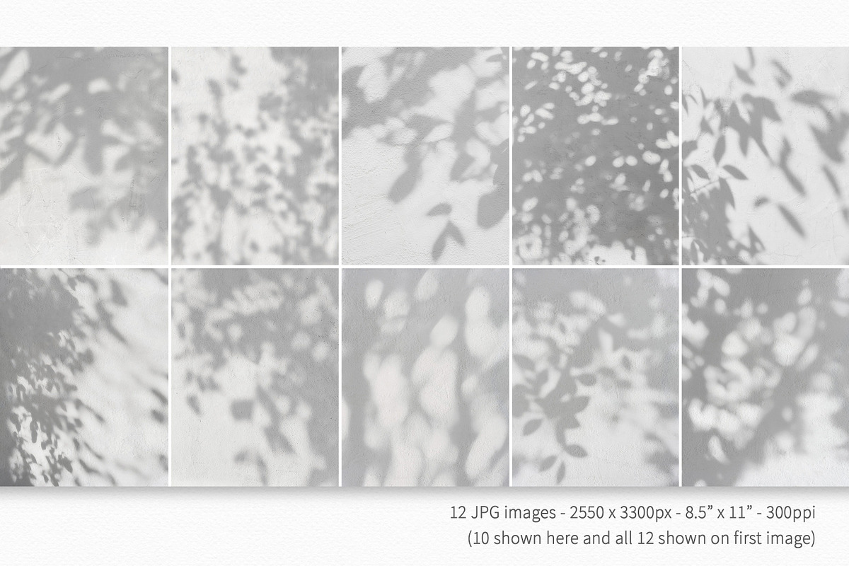 Summer Shadows Backdrops