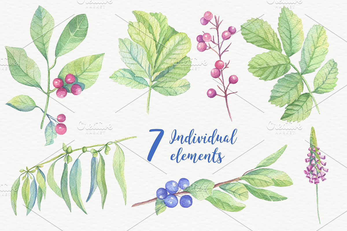 Watercolor leaves, berries, flowers, an Object Graphic by Irina Diasli (Photo 3 of 6)