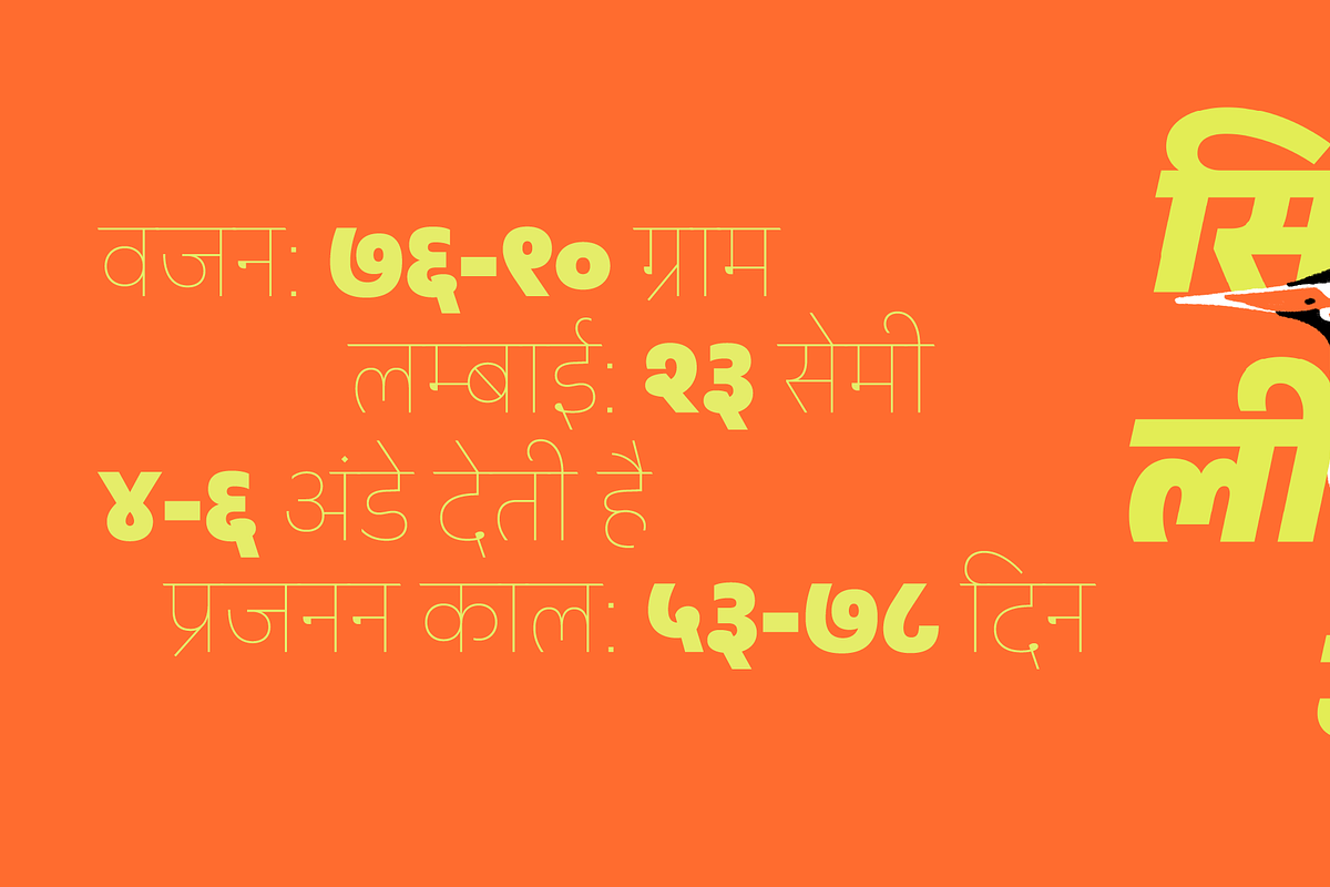 Peridot Devanagari, a Sans Serif Font by Foundry5 (Photo 4 of 10)