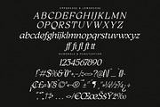 Qimano Modern Humanist Serif, a Serif Font by Letterena Studios (Thumbnail 14 of 15)
