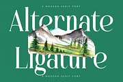 Bastible Modern Serif Font, a Serif Font by Letterena Studios (Thumbnail 7 of 15)