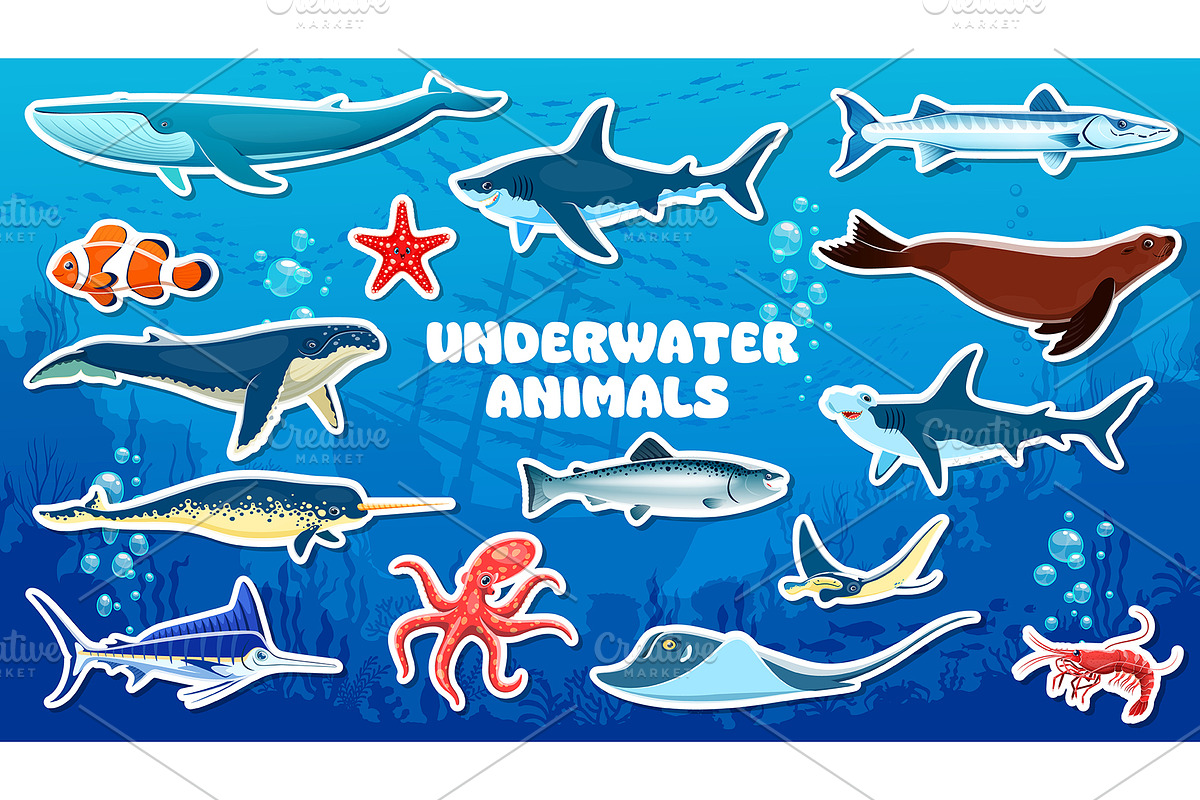 Cartoon underwater animal and fish, an Illustration by Vector Tradition (Photo 3 of 3)