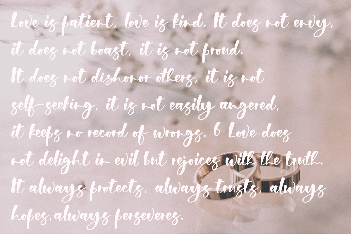 Midnight Fashion Script Font preview 4