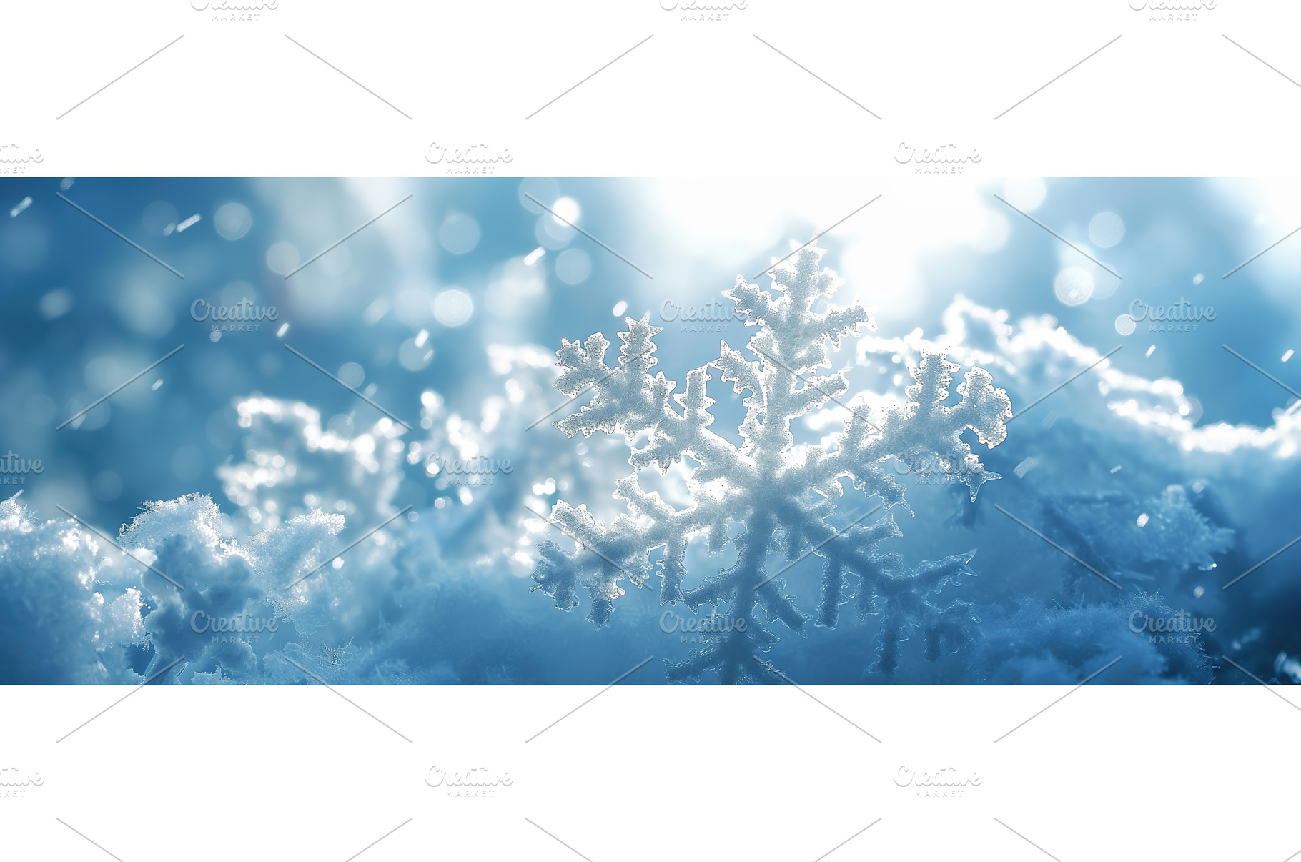 Winter Nature Background, an Abstract Photo by BazziBa♥