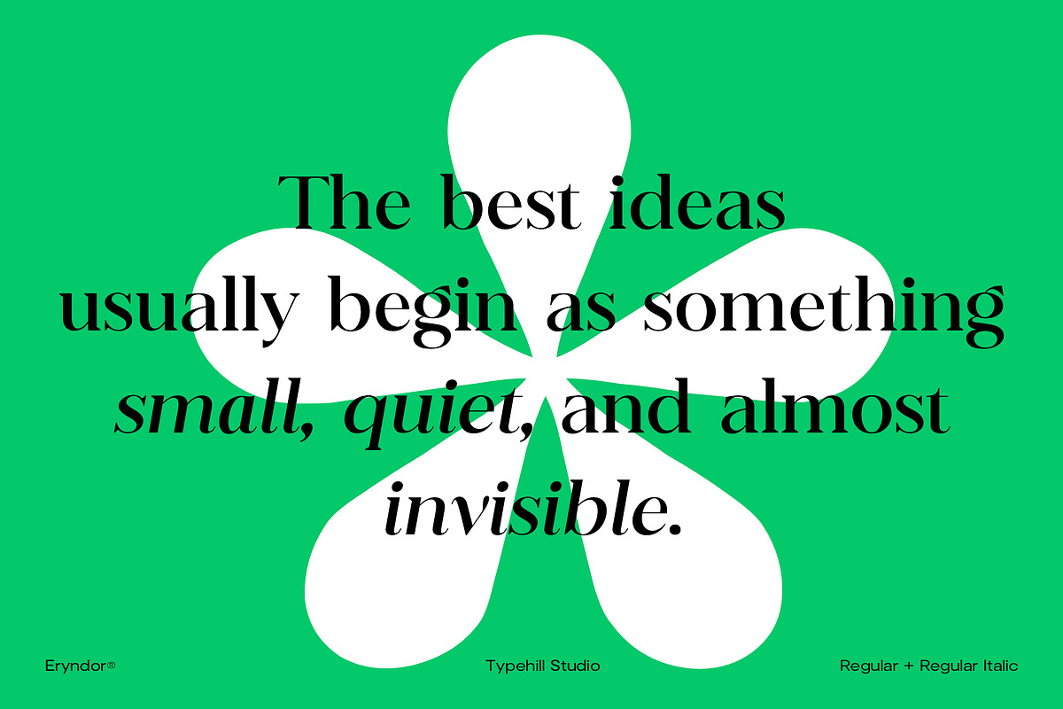 Eryndor, a Serif Font by Typehill (Photo 9 of 13)