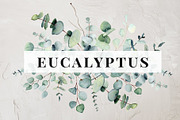 WHOLE SHOP. Watercolor bundle vol 1, an Animal Illustration by anastasiia.art (Thumbnail 13 of 47)