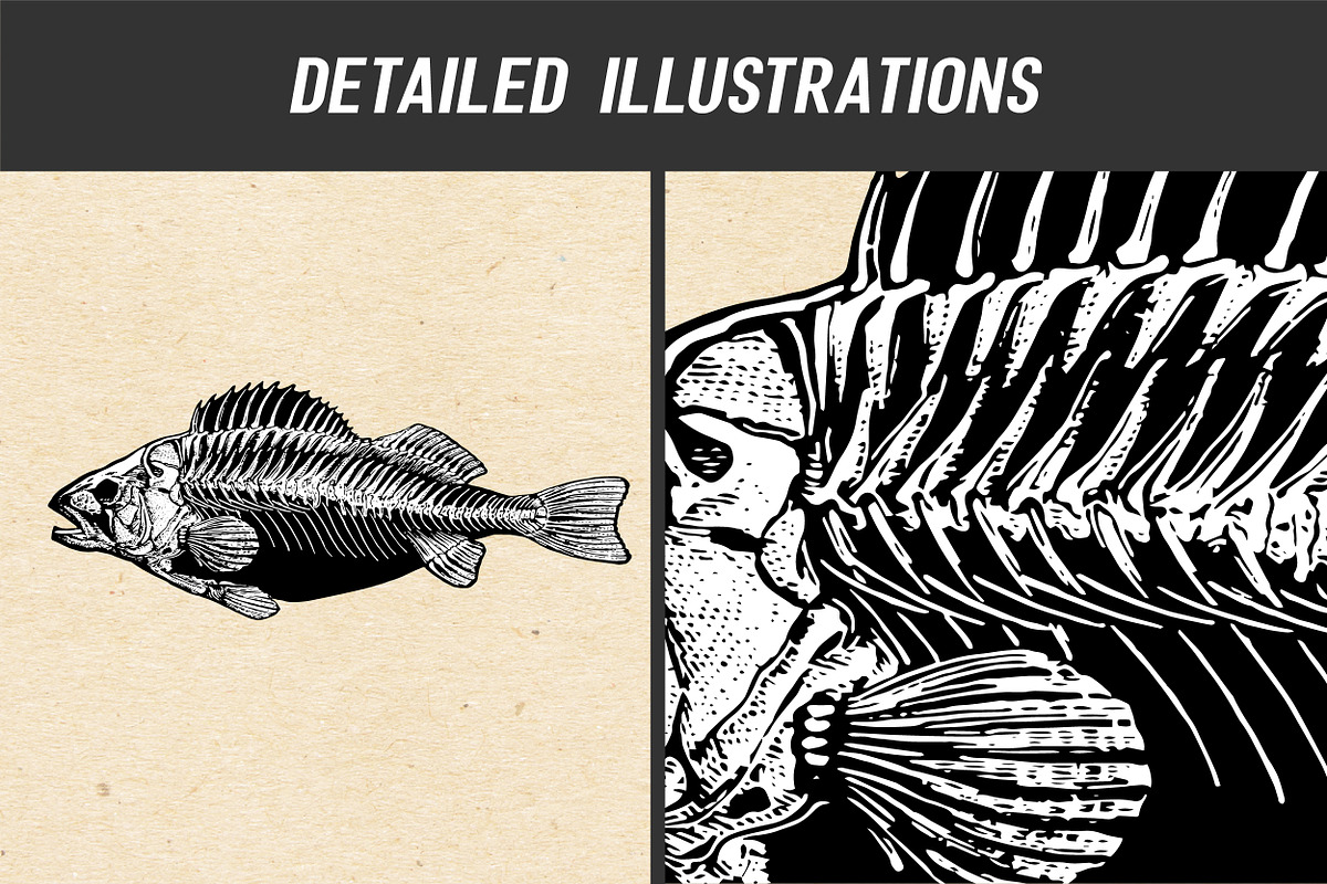 Vector Animal Skeletons Set, a Graphic by Catty Studio (Photo 4 of 6)