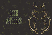 Deer antlers collection., an Animal Illustration by ArtOwl (Thumbnail 2 of 8)