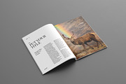 Portfolio Brochure Layout, a Brochure Template by Seeing-art (Thumbnail 7 of 11)