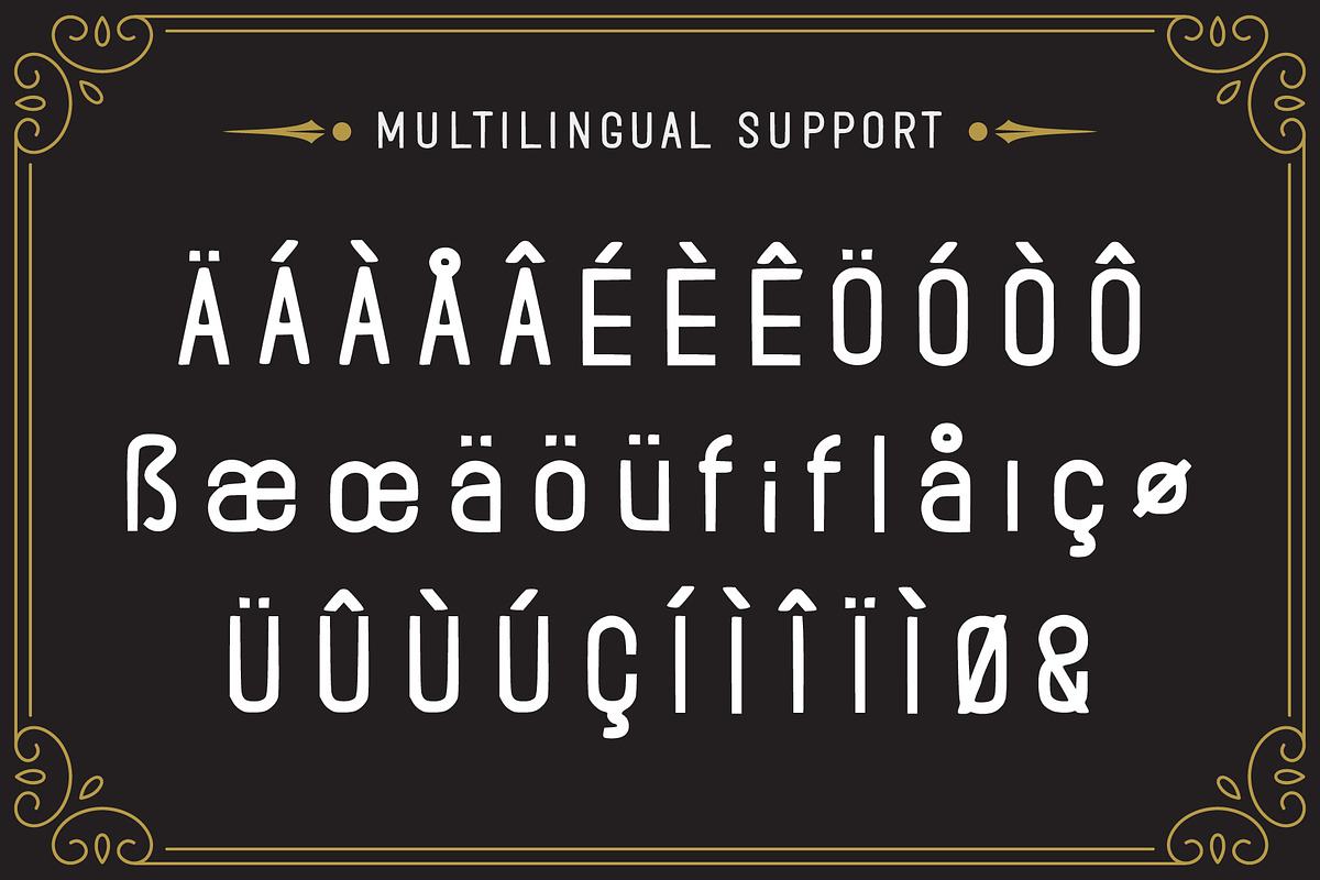 Rolando Vintage Font preview 4