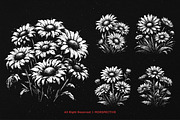 10 Bundle Dark Art Daisy Flower, an Illustration by Morspective (Thumbnail 5 of 7)