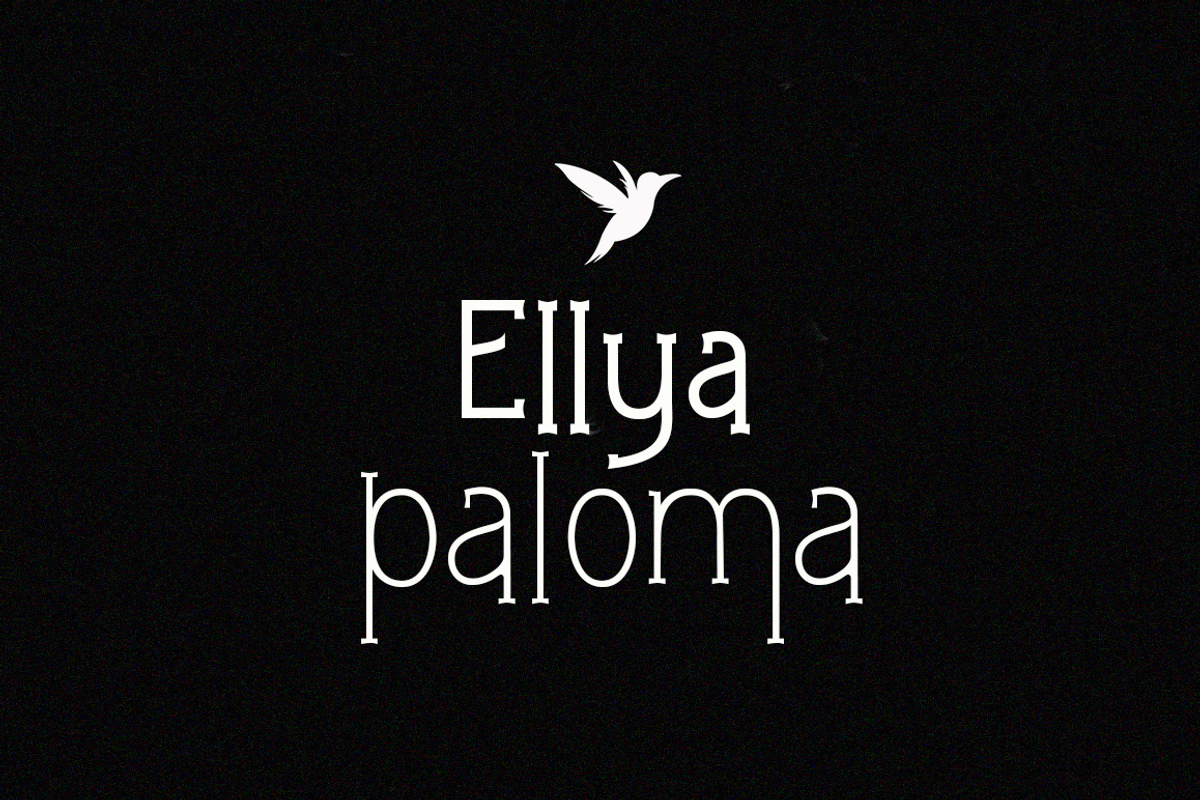 Gleams Serif Display, a Serif Font by Alandya TypeFoundry (Photo 4 of 8)